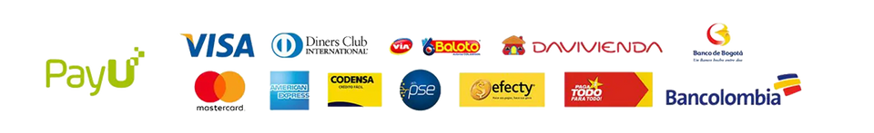 Pago 100% seguro y rapido.