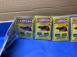 VENENO EL CAMPEON X 12 UNDS