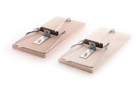 TRAMPA MADERA CLASICA RATON X 2 UND